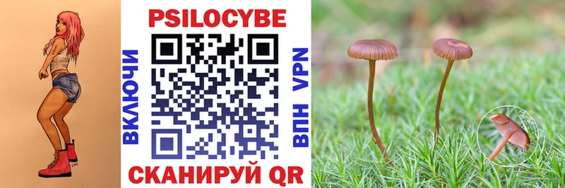 Псилоцибиновые грибы мицелий  hydra рабочий сайт  Хадыженск 
